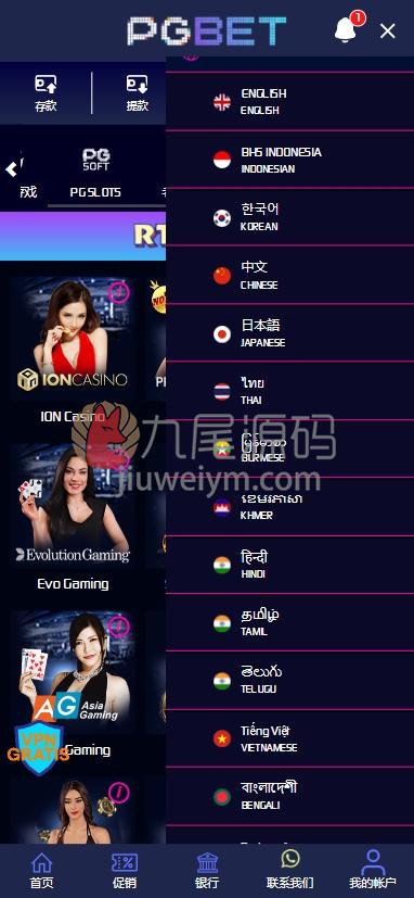 PGBET电子游戏源码下载/PGslots老虎机游戏多国语言/欧美SLOTS老虎机游戏/日韩SLOTS老虎机游戏/BC综合系统源码下载/体育真人电子彩票平台/支付已对接/网站语言可定制 商品图片 7