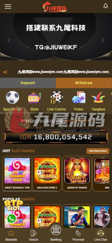 PGSLOTS印尼语综合系统源代码/彩种系统/拉霸/捕鱼游戏/电子游戏/印尼SLOTS/印尼Lottery/印尼彩 商品展示图