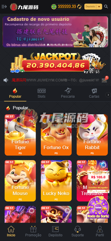 重磅上新全可商用开源OKY777包网源代码/巴西老虎机游戏源代码/欧美slots源代码/PG电子源代码/巴西PG电子源代码/带快速部署含教程 商品展示图