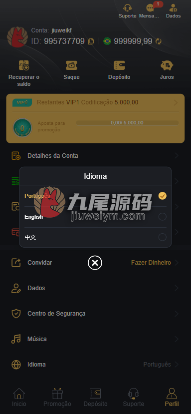 重磅上新全可商用开源OKY777包网源代码/巴西老虎机游戏源代码/欧美slots源代码/PG电子源代码/巴西PG电子源代码/带快速部署含教程 商品图片 14