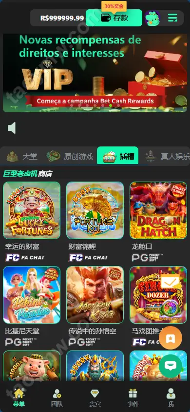 Luck66巴西自适应H5电子Slots源码｜Luck66巴西PG｜真人娱乐捕鱼达人赌场游戏｜Vue+PHP完整套件 商品图片 23