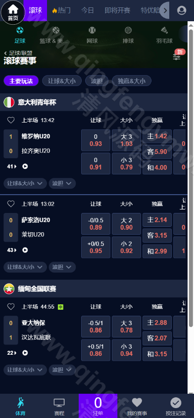 皇冠综合系统源码下载/包网源码下载/皇冠源码下载/皇冠娱乐城源码下载/皇冠体育源码下载 商品图片 43